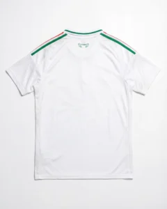 26 Wales Away Fan Version