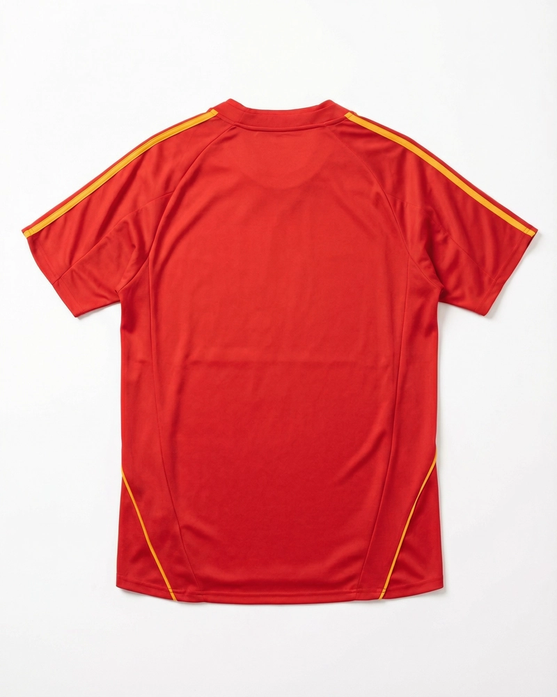 2008 Spain Home Fan Version
